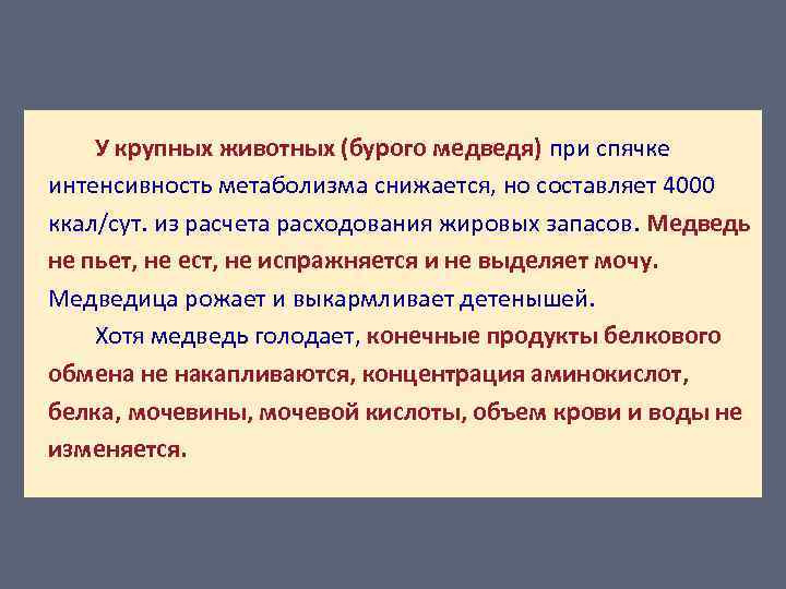 У крупных животных (бурого медведя) при спячке интенсивность метаболизма снижается, но составляет 4000 ккал/сут.