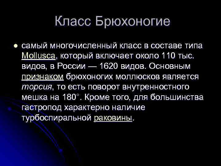  Класс Брюхоногие l самый многочисленный класс в составе типа Mollusca, который включает около