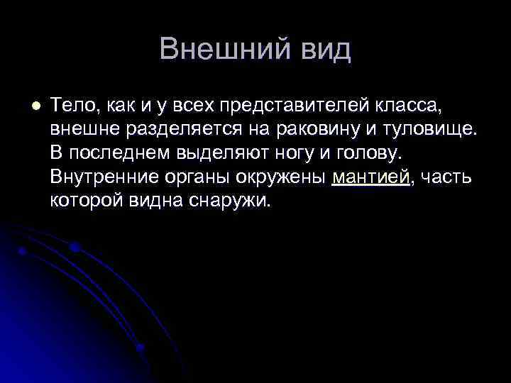 Внешний вид l Тело, как и у всех представителей класса, внешне разделяется на раковину