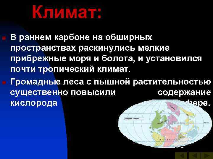 Климат: n n В раннем карбоне на обширных пространствах раскинулись мелкие прибрежные моря и