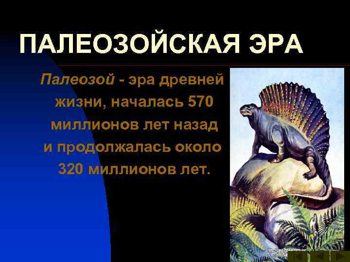 ПАЛЕОЗОЙСКАЯ ЭРА Палеозой - эра древней жизни, началась 570 миллионов лет назад и продолжалась