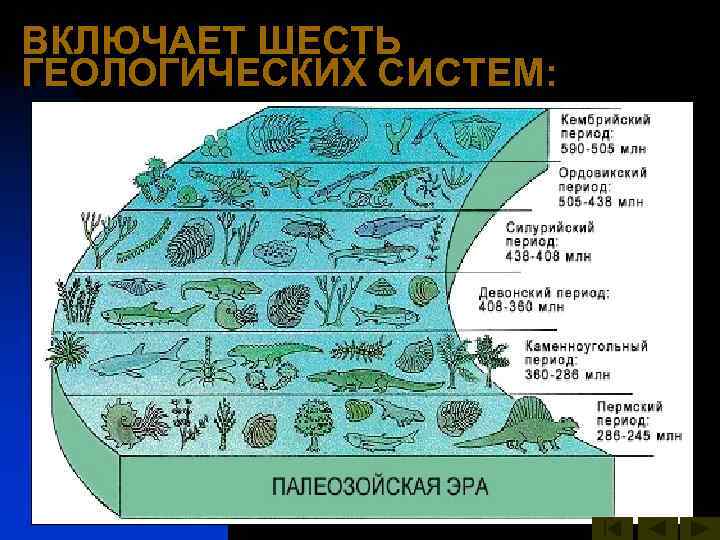 ВКЛЮЧАЕТ ШЕСТЬ ГЕОЛОГИЧЕСКИХ СИСТЕМ: 