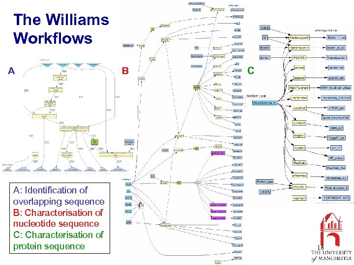 The Williams Workflows A A: Identification of overlapping sequence B: Characterisation of nucleotide sequence