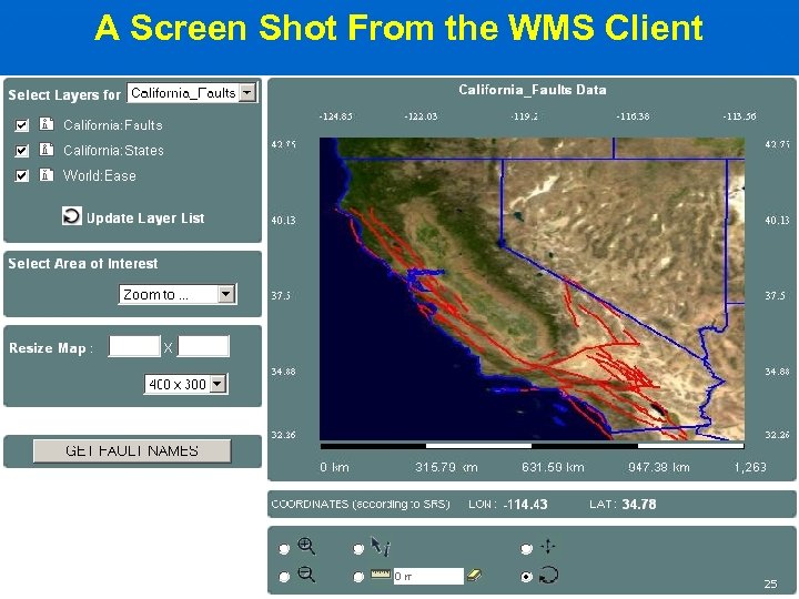 A Screen Shot From the WMS Client 25 
