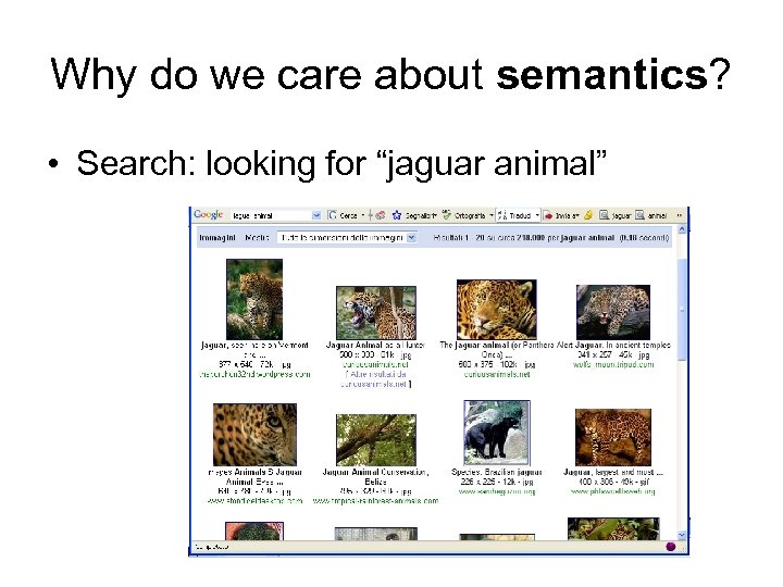 Why do we care about semantics? • Search: looking for “jaguar animal” 