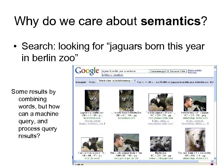 Why do we care about semantics? • Search: looking for “jaguars born this year