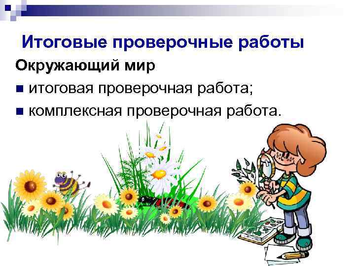 Итоговые проверочные работы Окружающий мир n итоговая проверочная работа; n комплексная проверочная работа. 