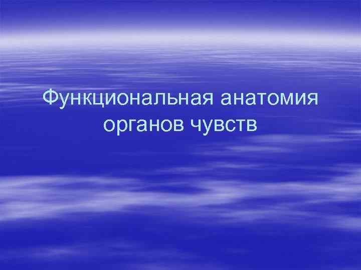 Функциональная анатомия органов чувств 