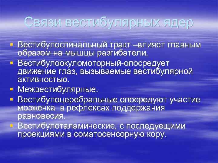 Связи вестибулярных ядер § Вестибулоспинальный тракт –влияет главным образом на мышцы разгибатели. § Вестибулоокуломоторный-опосредует