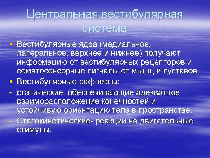 Центральная вестибулярная система § Вестибулярные ядра (медиальное, латеральное, верхнее и нижнее) получают информацию от
