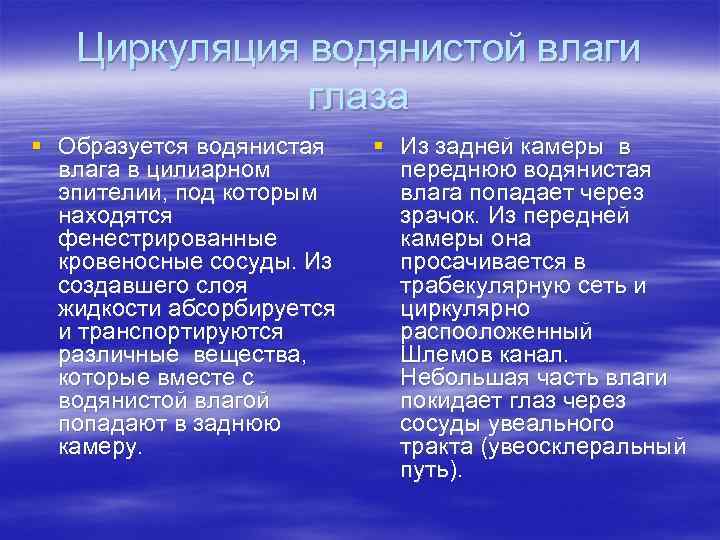 Циркуляция водянистой влаги глаза § Образуется водянистая влага в цилиарном эпителии, под которым находятся