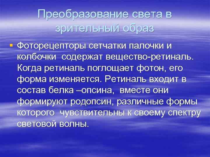 Преобразование света в зрительный образ § Фоторецепторы сетчатки палочки и колбочки содержат вещество-ретиналь. Когда