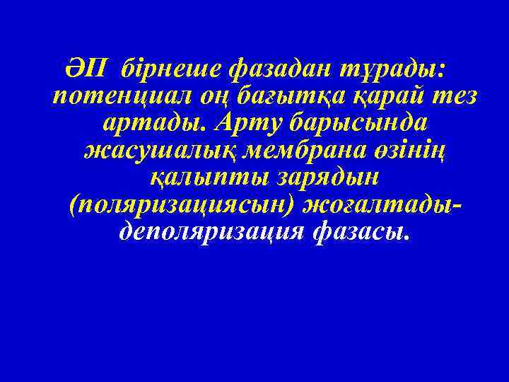 ӘП бірнеше фазадан тұрады: потенциал оң бағытқа қарай тез артады. Арту барысында жасушалық мембрана