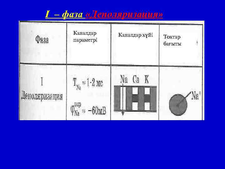 I – фаза «Деполяризация» Каналдар параметрі Каналдар күйі Токтар бағыты 