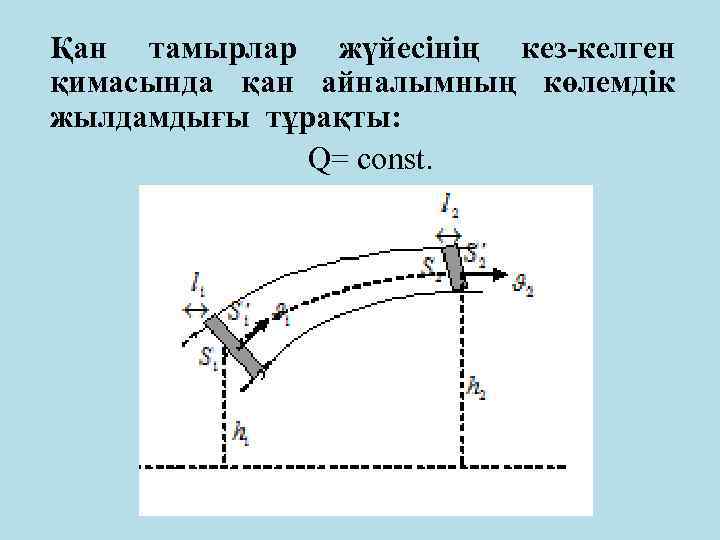 Қан тамырлар жүйесінің кез-келген қимасында қан айналымның көлемдік жылдамдығы тұрақты: Q= соnst. 