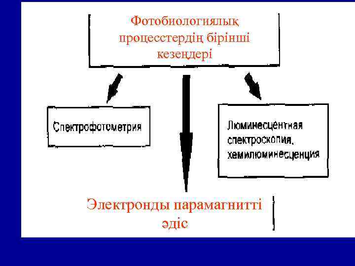 Фотобиологиялық процесстердің бірінші кезеңдері Электронды парамагнитті әдіс 