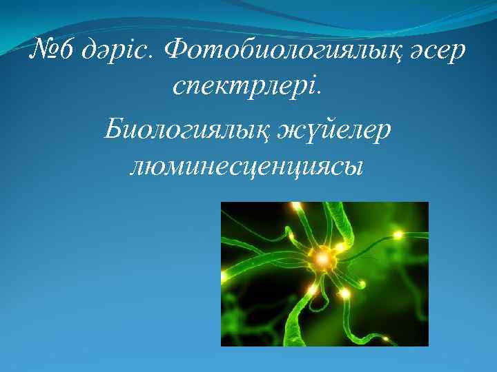 № 6 дәріс. Фотобиологиялық әсер спектрлері. Биологиялық жүйелер люминесценциясы 