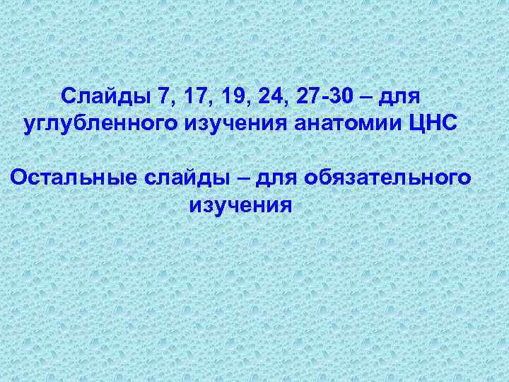 Слайды 7, 19, 24, 27 -30 – для углубленного изучения анатомии ЦНС Остальные слайды