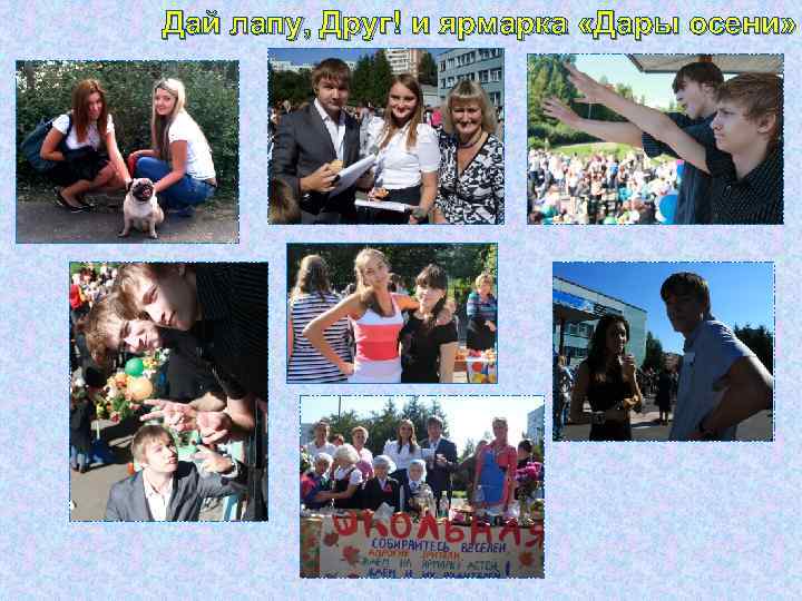 Дай лапу, Друг! и ярмарка «Дары осени» 