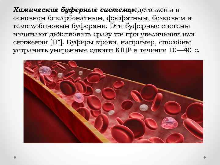 Химические буферные системы представлены в основном бикарбонатным, фосфатным, белковым и гемоглобиновым буферами. Эти буферные