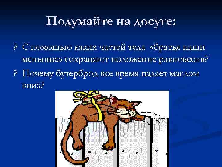 Подумайте на досуге: ? С помощью каких частей тела «братья наши меньшие» сохраняют положение