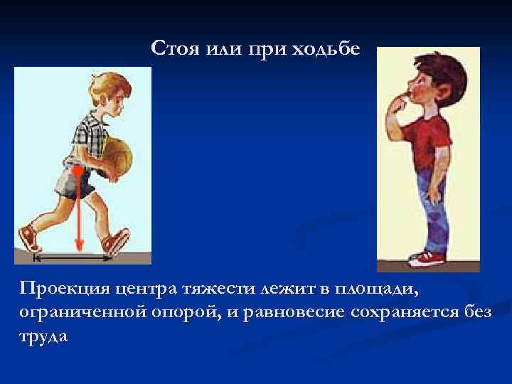 Стоя или при ходьбе Проекция центра тяжести лежит в площади, ограниченной опорой, и равновесие