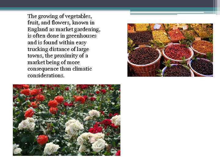 The growing of vegetables, fruit, and flowers, known in England as market gardening, is