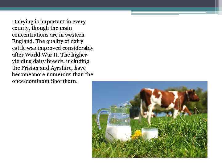 Dairying is important in every county, though the main concentrations are in western England.