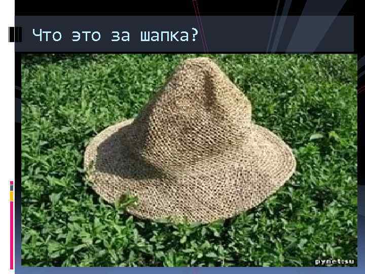 Что это за шапка? 