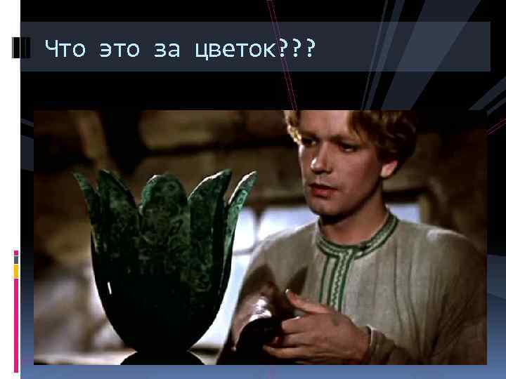 Что это за цветок? ? ? 