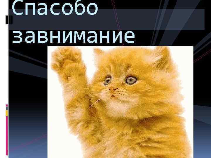 Спасобо завнимание 