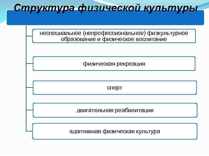 Физическая структура