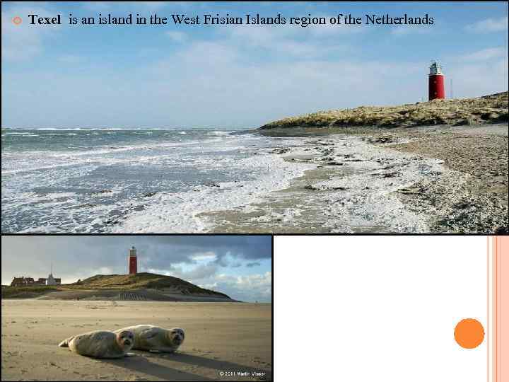  Texel is an island in the West Frisian Islands region of the Netherlands