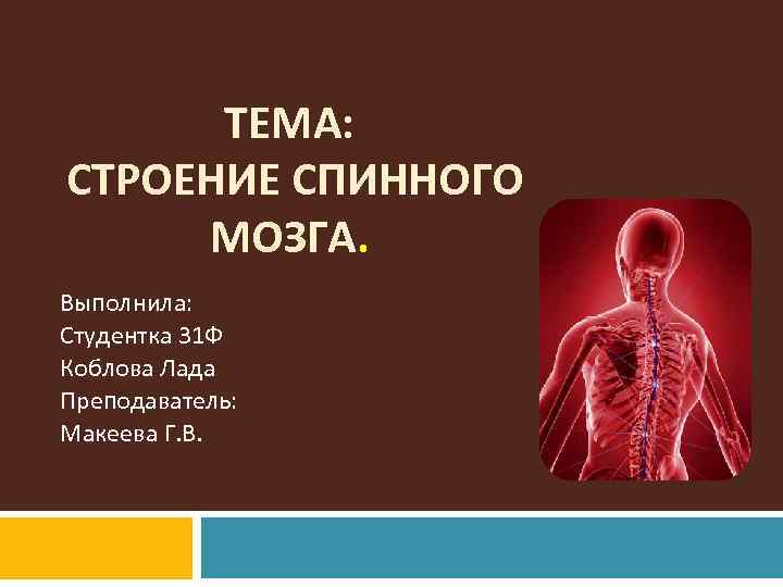 ТЕМА: СТРОЕНИЕ СПИННОГО МОЗГА. Выполнила: Студентка 31 Ф Коблова Лада Преподаватель: Макеева Г. В.