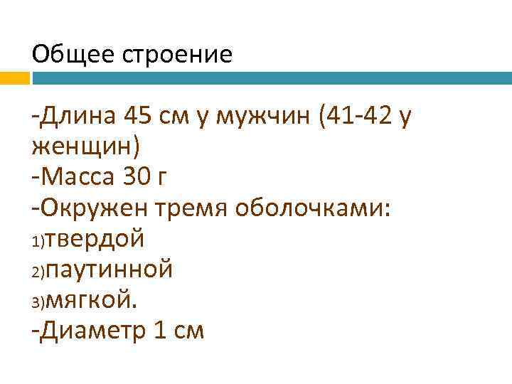 Общее строение -Длина 45 см у мужчин (41 -42 у женщин) -Масса 30 г