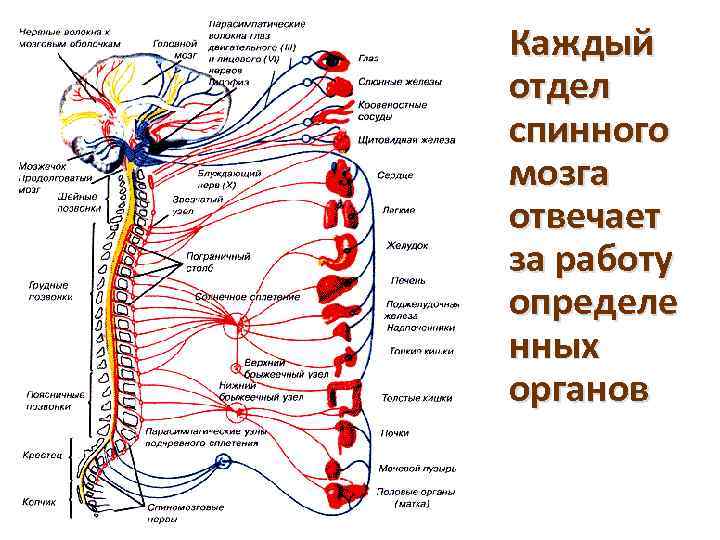 Каждый отдел