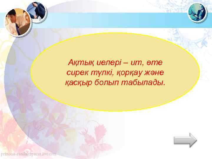 Ақтық иелері – ит, өте сирек түлкі, қорқау және қасқыр болып табылады. 