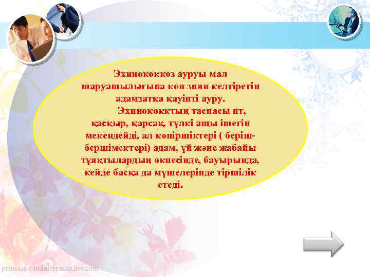 Эхинококкоз ауруы мал шаруашылығына көп зиян келтіретін адамзатқа қауіпті ауру. Эхинококктың таспасы ит, қасқыр,