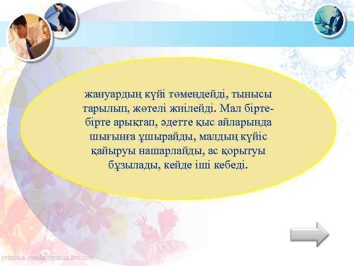 жануардың күйі төмендейді, тынысы тарылып, жөтелі жиілейді. Мал бірте арықтап, әдетте қыс айларында шығынға