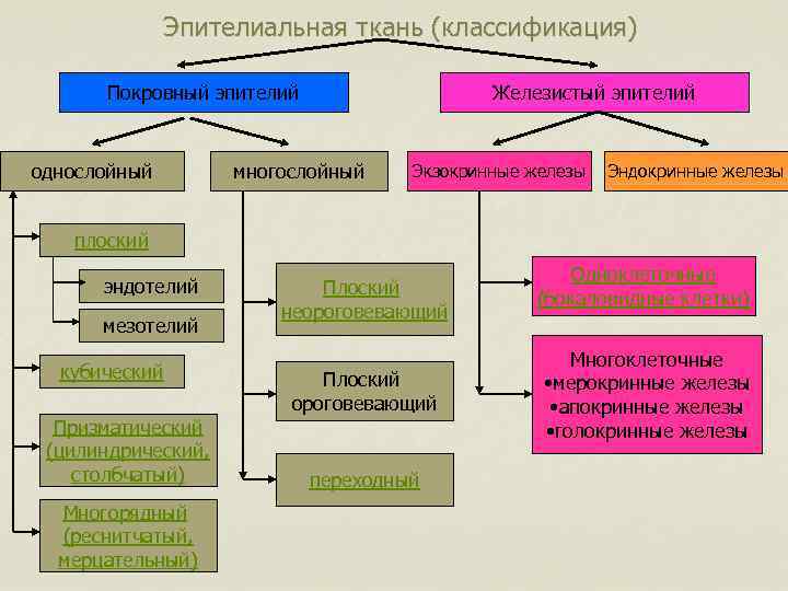 Классификация тканей презентация