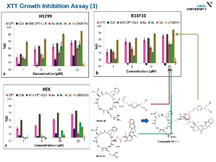 XTT Growth Inhibition Assay (3) 