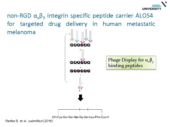 non-RGD αvβ 3 integrin specific peptide carrier ALOS 4 for targeted drug delivery in