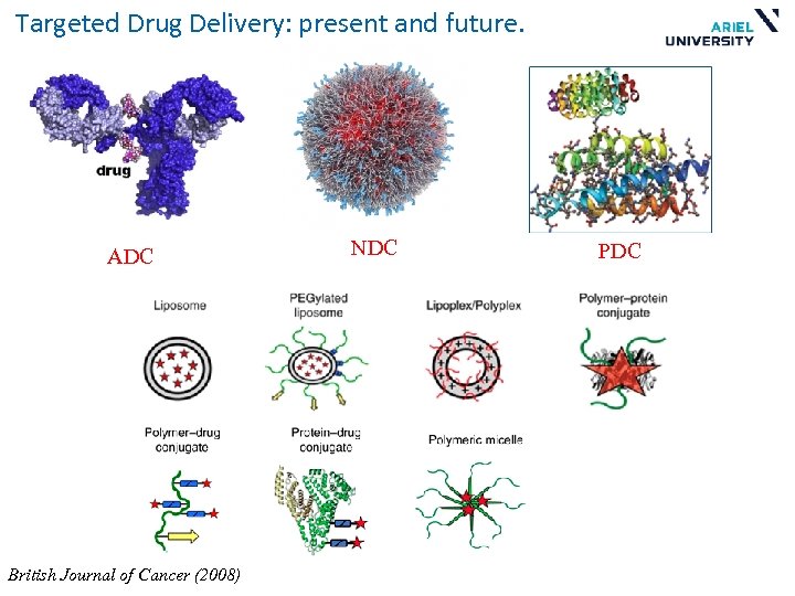 Targeted Drug Delivery: present and future. ADC British Journal of Cancer (2008) NDC PDC