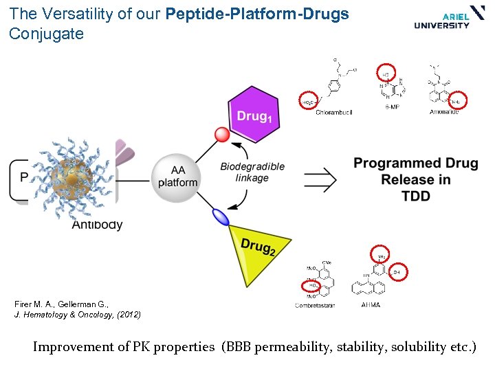 The Versatility of our Peptide-Platform-Drugs Conjugate Firer M. A. , Gellerman G. , J.