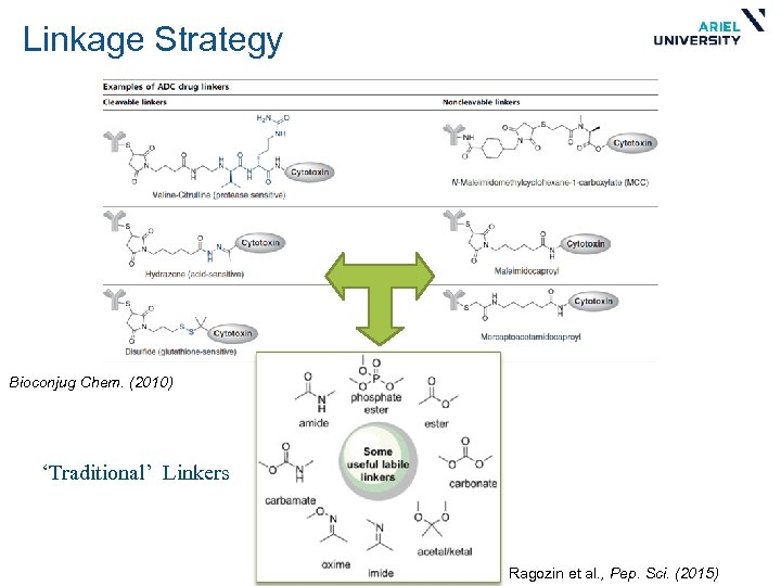 Linkage Strategy Bioconjug Chem. (2010) ‘Traditional’ Linkers Ragozin et al. , Pep. Sci. (2015)