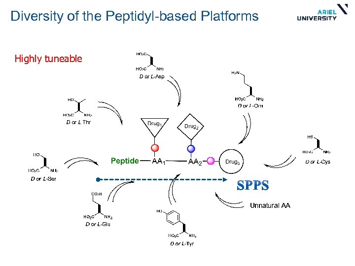 Diversity of the Peptidyl-based Platforms Highly tuneable 