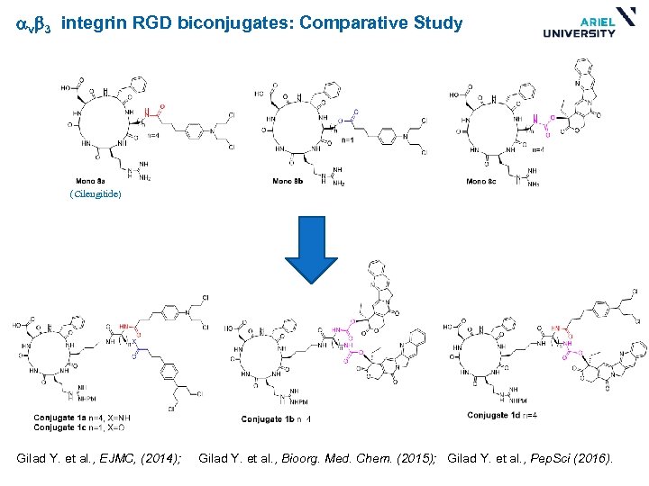 avb 3 integrin RGD biconjugates: Comparative Study (Cilengitide) Gilad Y. et al. , EJMC,