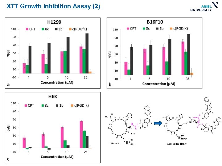 XTT Growth Inhibition Assay (2) 