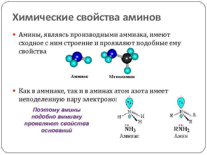 Химические свойства аминов Амины, являясь производными аммиака, имеют сходное с ним строение и проявляют
