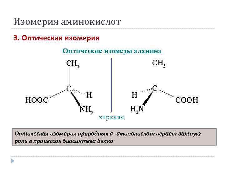 План конспект аминокислоты 10 класс